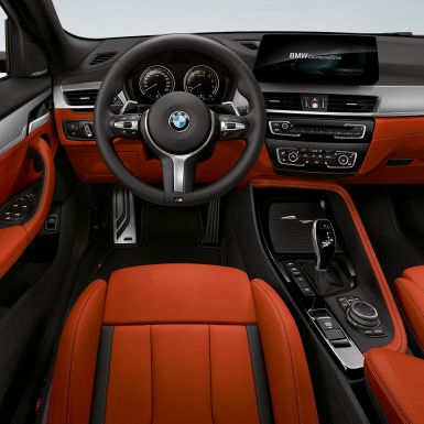 M Lederlenkrad BMW X2 M35i SUV F39 M Lederlenkrad BMW X2 M35i SUV F39 Innenraum