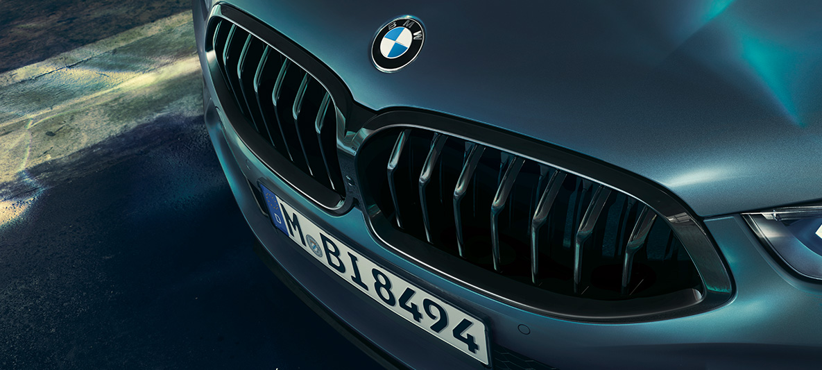 BMW M850i Coupé First Edition, BMW Niere Close-up der BMW Niere der BMW M850i Coupé First Edition