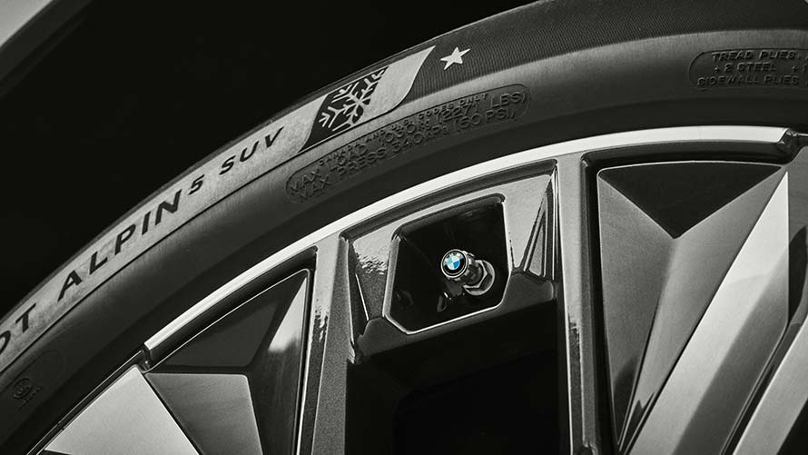 BMW VENTILKAPPEN MIT LOGO BMW VENTILKAPPEN MIT LOGO