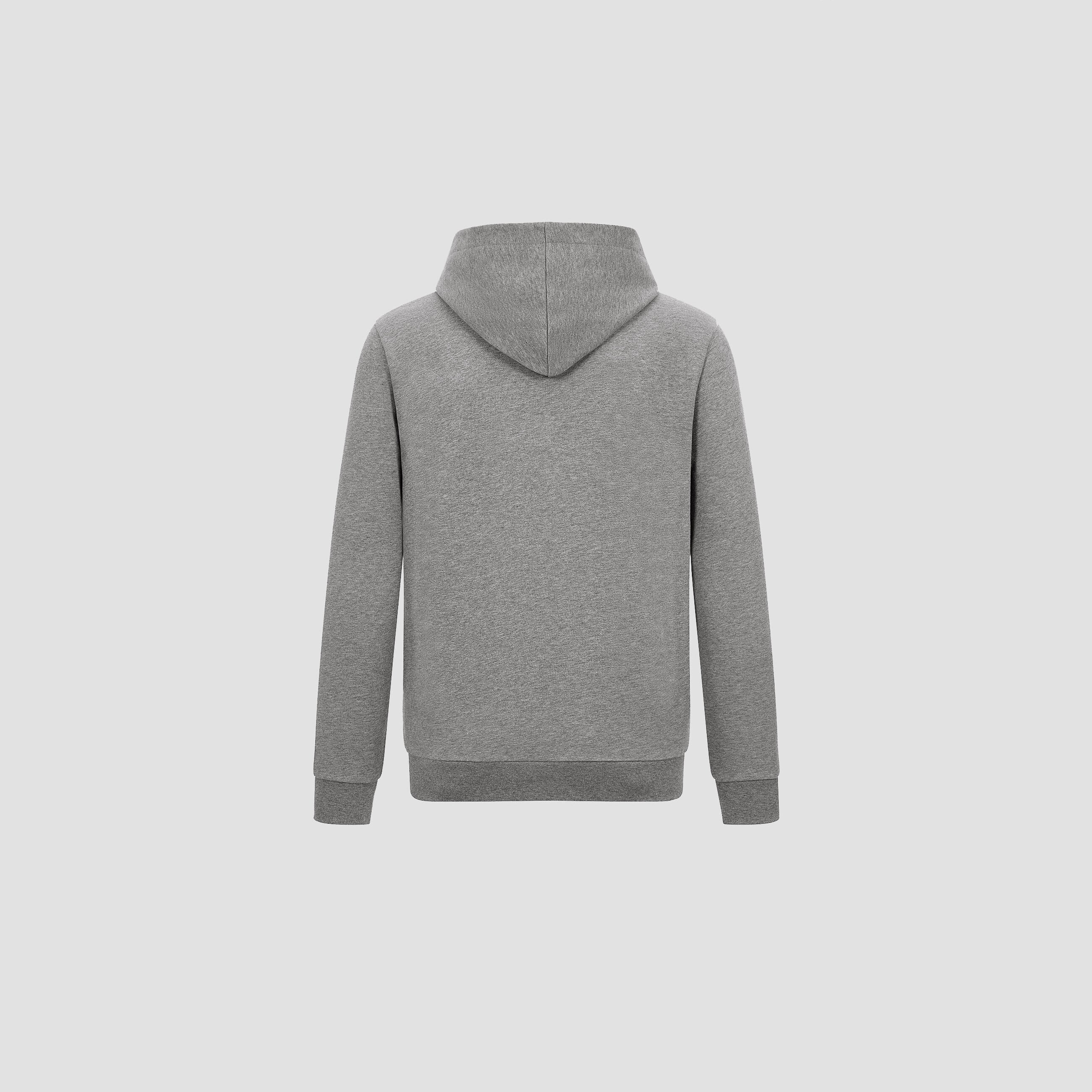 BMW M Default Logo Hoodie  grey 4