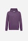 Sweat à Capuche BMW Tonal Logo prisme violet / jusqu'à. violet Hommes