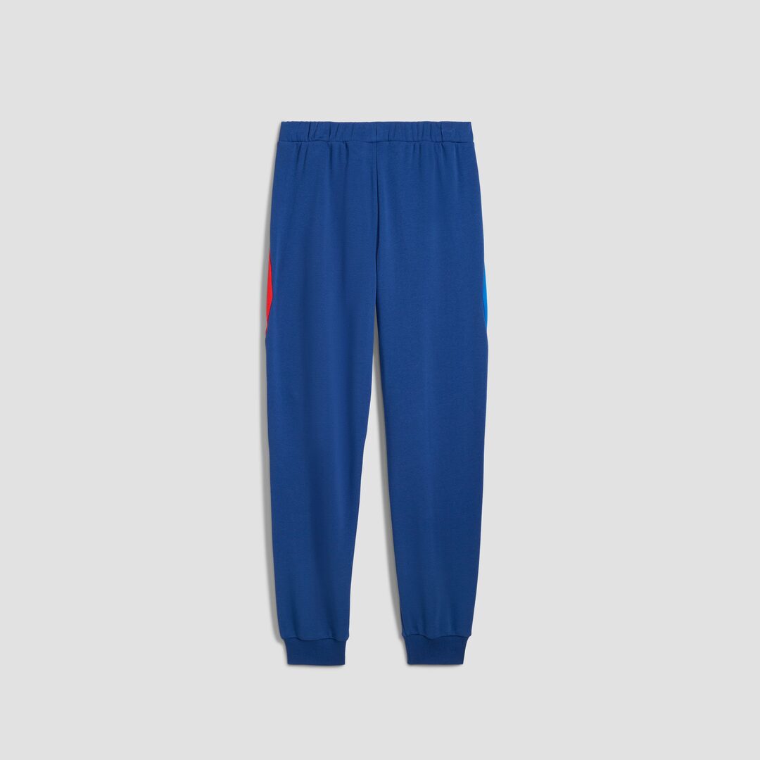 View in full screen Puma BMW M Motorsport Regular Sweatpants  victoria blue 2