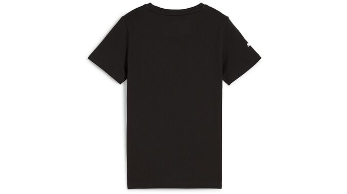 80145B31940_Grafik_T-  