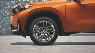 BMW 18 Zoll Winter-Leichtmetallräder Doppelspeiche 879, frozen 