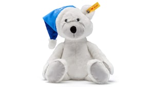 80305B7E2D0_BMW_Steiff_Teddyba