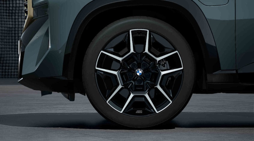 BMW 22 Zoll Leichtmetallräder M Doppelspeiche 922M, Jet Black uni 
