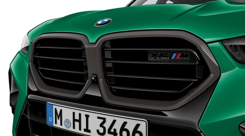 51135A69BE6_Frontziergitter_Ca  